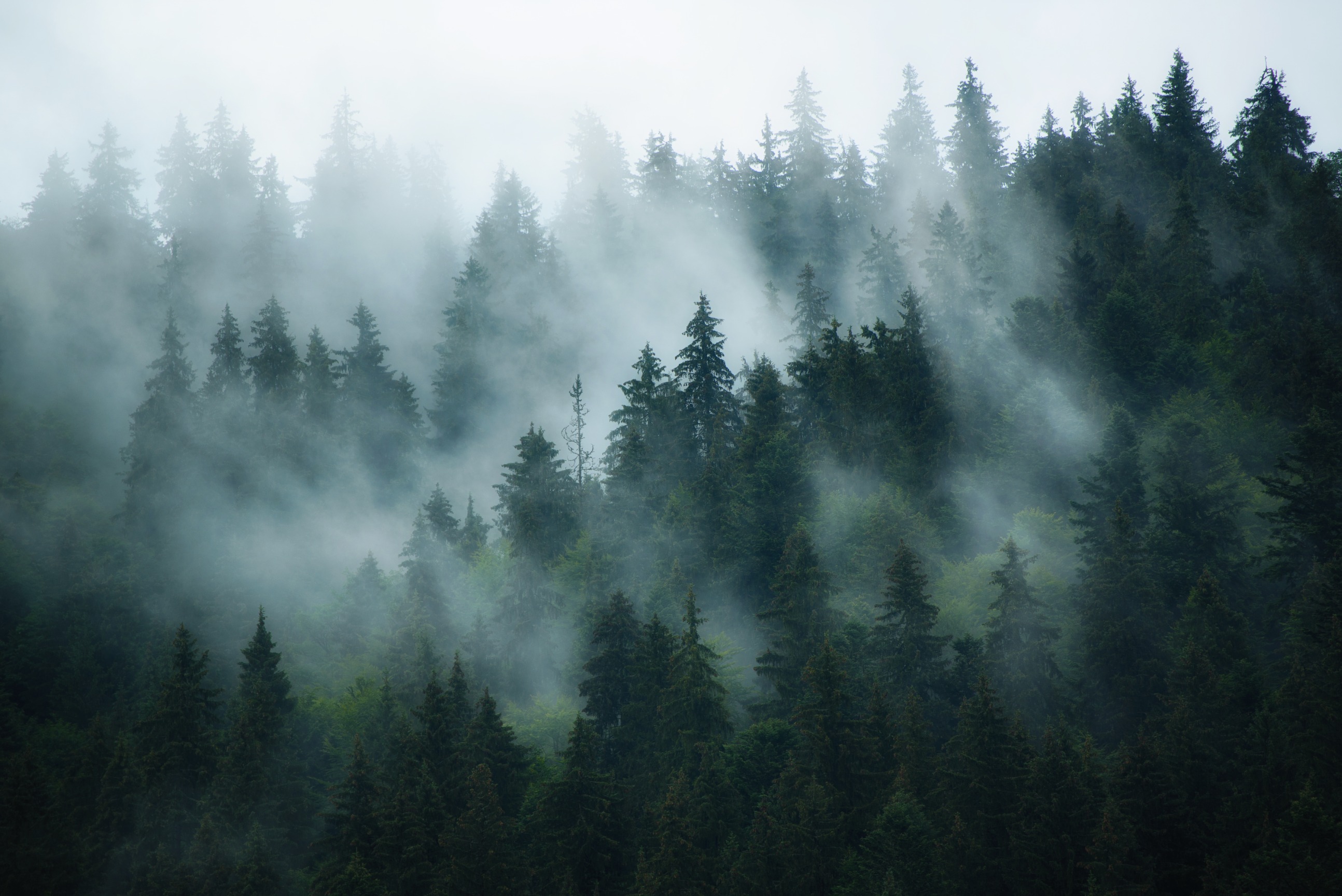 Liga para a Protecção da Natureza